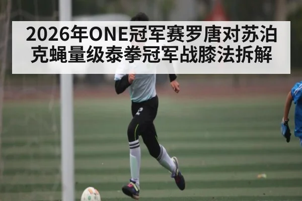 2026年ONE冠军赛罗唐对苏泊克蝇量级泰拳冠军战膝法拆解